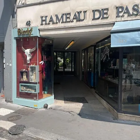 Adele Passy Apartman Párizs